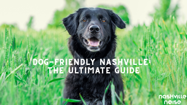 The Best Dog-Friendly Spots in Nashville (+ Our New Guide to Even More!)