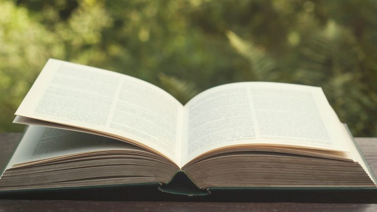 Soak Up the End of Summer With These Must-Read Books