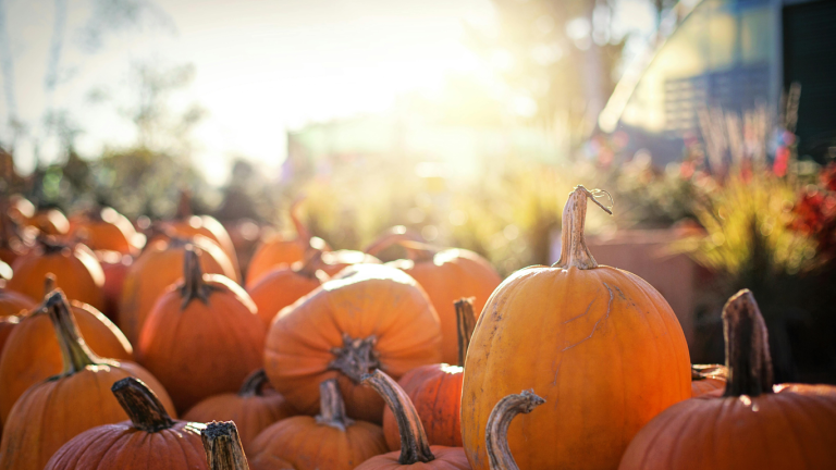 October 2026: Must-Attend Events in Nashville